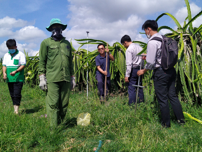 Lộc Trời lấy mẫu đất cho dự án 'Nâng cao chất lượng trái cây nhiệt đới'