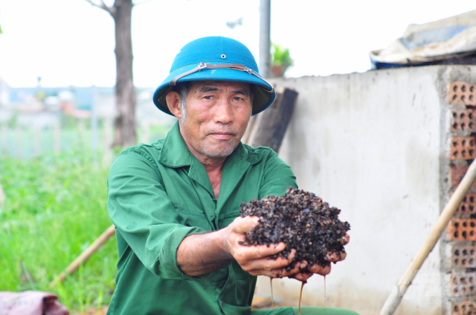 Làm 'sống lại' đất trồng cà phê nhờ sản xuất hướng hữu cơ