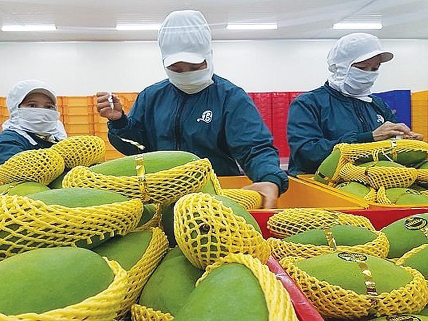 “Thông đường” cho doanh nghiệp xuất khẩu nông sản sang Trung Quốc