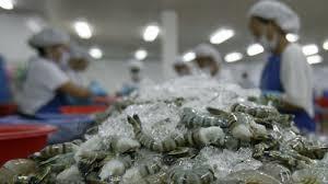 Indonesia thay đổi chính sách kiểm dịch xuất khẩu thủy sản, doanh nghiệp Việt cần chú ý điều gì?