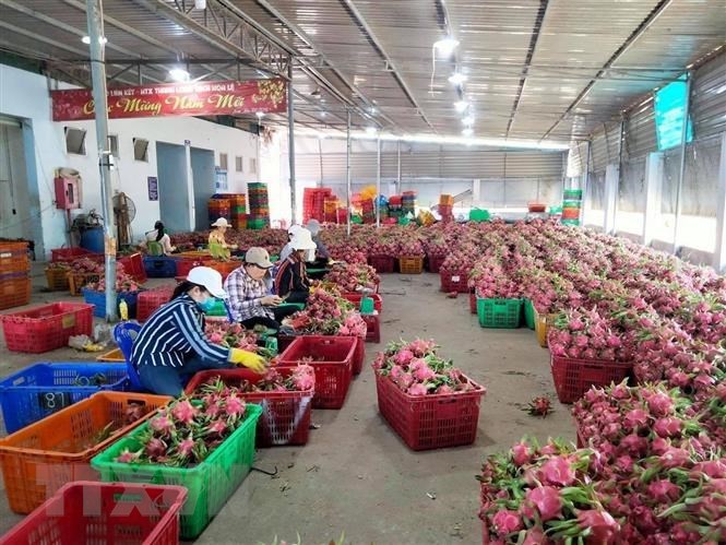 Hỗ trợ bảo hộ nhãn hiệu sản phẩm xuất khẩu tiềm năng của Việt Nam ở nước ngoài