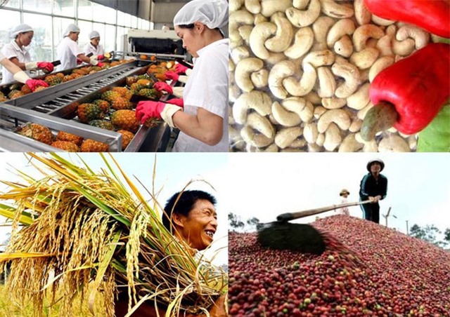 Kết nối doanh nhân kiều bào, đưa nông sản Việt Nam vào chuỗi giá trị toàn cầu