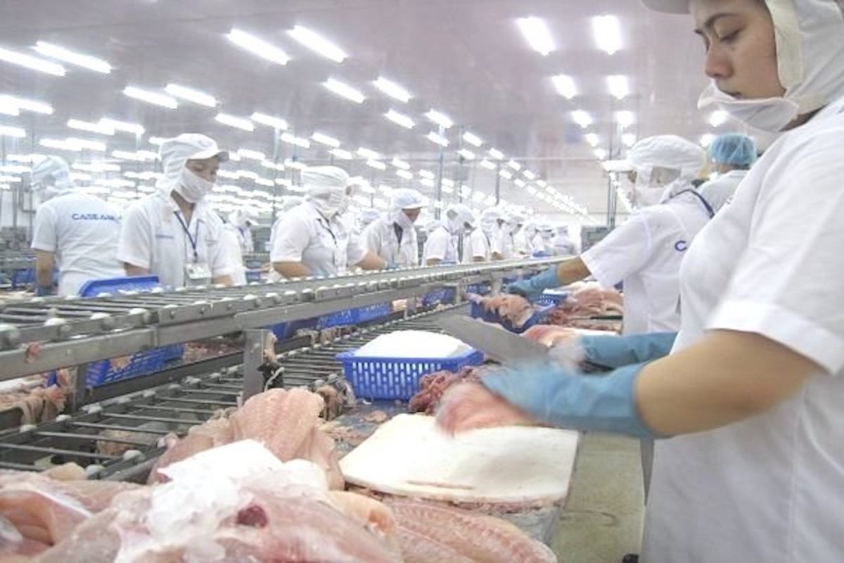 49 doanh nghiệp xuất khẩu cá tra, ca ba sa Việt Nam bị Mỹ áp thuế chống bán phá giá