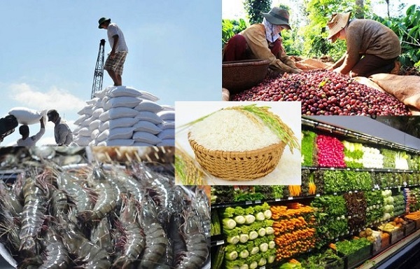 Tìm cách đưa nông sản, thực phẩm Việt tiếp cận thị trường tiềm năng Algeria