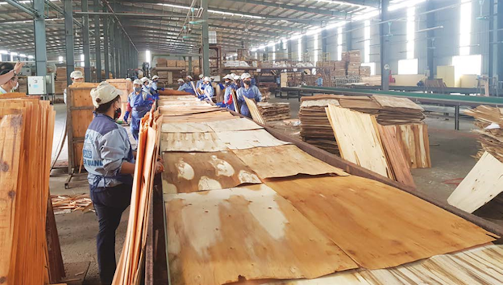 Hoa Kỳ lùi thời hạn công bố kết luận vụ điều tra chống bán phá giá với gỗ dán cứng từ Việt Nam