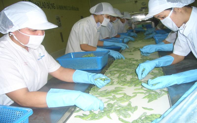 Trọng số Trung Quốc kéo tụt kim ngạch xuất khẩu rau quả Việt Nam