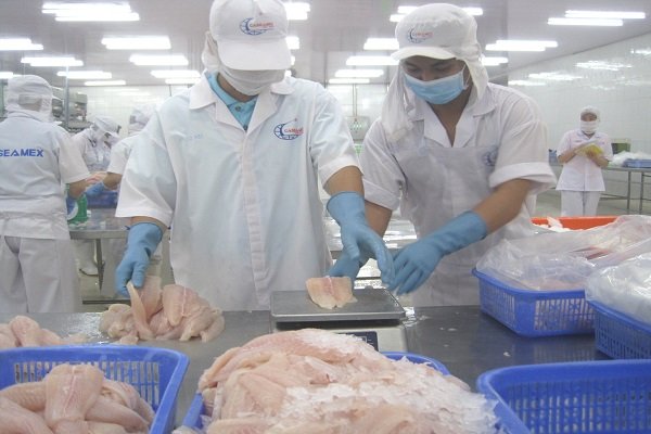 Trung Quốc tạm dừng nhập khẩu với doanh nghiệp có cá tra bị phát hiện nhiễm Covid-19