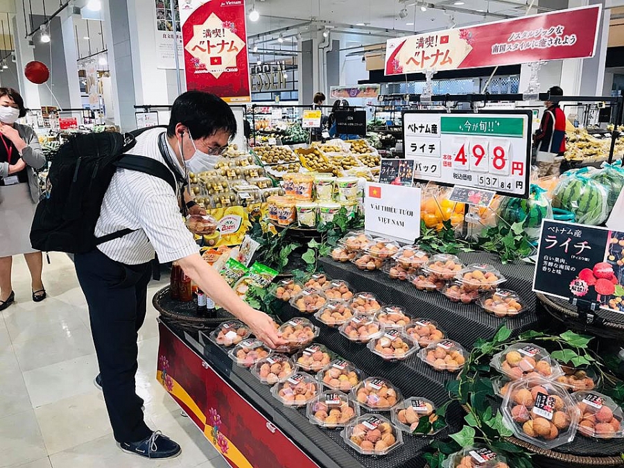 Nhật Bản – thị trường khắt khe nhưng nhiều tiềm năng