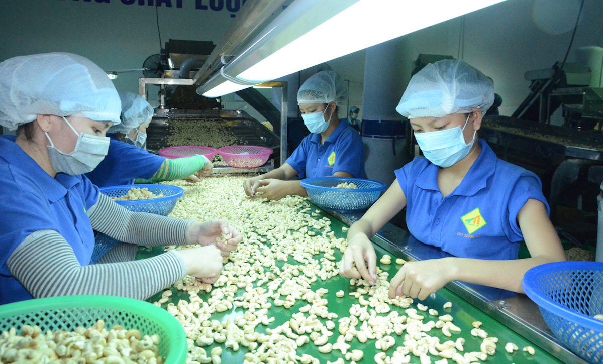 Hạt điều Việt Nam bị Myanmar cạnh tranh mạnh ở thị trường Trung Quốc