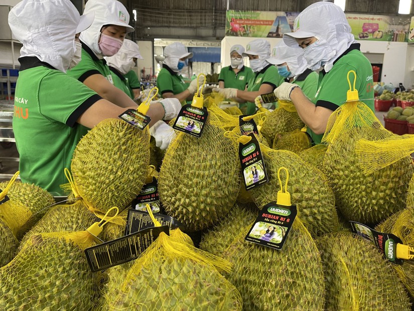 Doanh nghiệp Trung Quốc đánh giá thế nào về trái sầu riêng tươi của Việt Nam