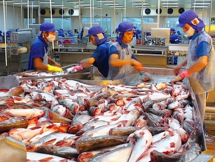 Dự báo xuất khẩu cá tra sang thị trường ASEAN có thể vượt EU