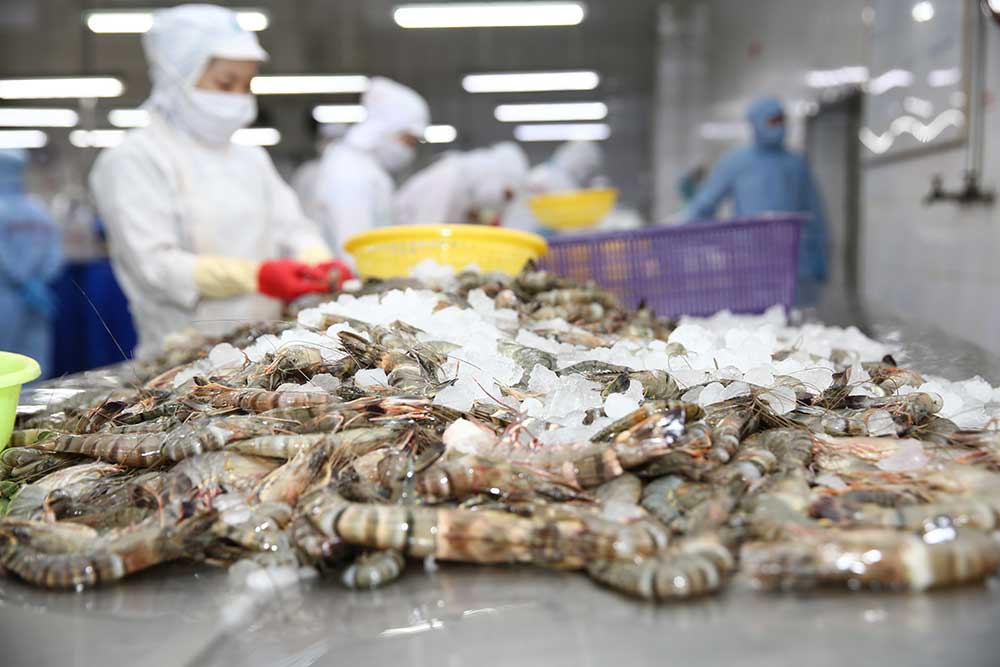Cập nhật danh sách các doanh nghiệp thủy sản Việt Nam được phép xuất khẩu sang thị trường Đài Loan