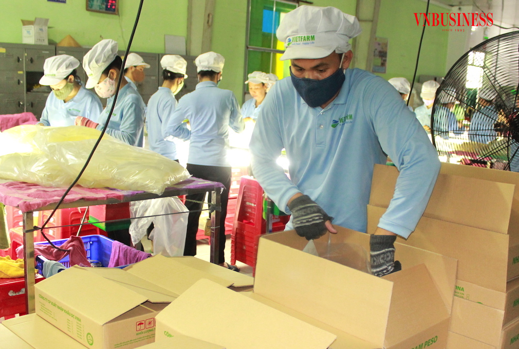 Mối lo doanh nghiệp Việt ‘hụt hơi’ cạnh tranh xuất khẩu